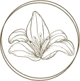 lavish lillies favicon