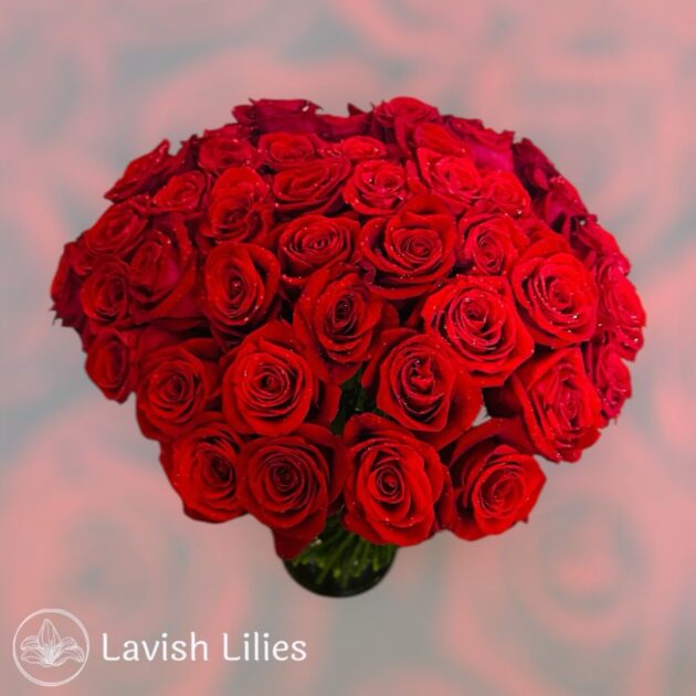 51 Premium Ravishing Red Roses - Image 2